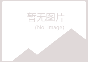 鹤岗南山宿命媒体有限公司